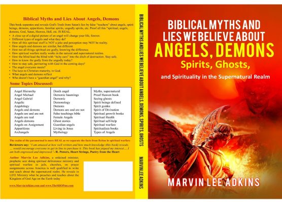 FRONT COVER JPG MLA Myths Angels Demons
